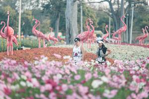 BIB: 
                            <button type="button" onclick="openModal(27343951)" class="btn btn-primary btn-sm float-right btn-popup" data-toggle="modal" data-target=".modal-high-quality">
                        <i class="fas fa-shopping-cart"></i> Add to Cart
                    </button>
                                            <button type="button" onclick="isThisMe(27343951, true)" class="btn btn-success btn-sm float-right btn-popup btn-isme hidden" data-toggle="tooltip" data-placement="bottom" title="นี่คือรูปของคุณใช่ไหม คลิกที่นี่เพื่อเอาเข้าอัลบั้ม">
                        <i class="fas fa-plus"></i> Add to album
                    </button>
                    <button type="button" onclick="isThisMe(27343951, false)" class="btn btn-warning btn-sm float-right btn-popup btn-isnotme hidden">
                        <i class="fas fa-ban"></i> Remove from album
                    </button>